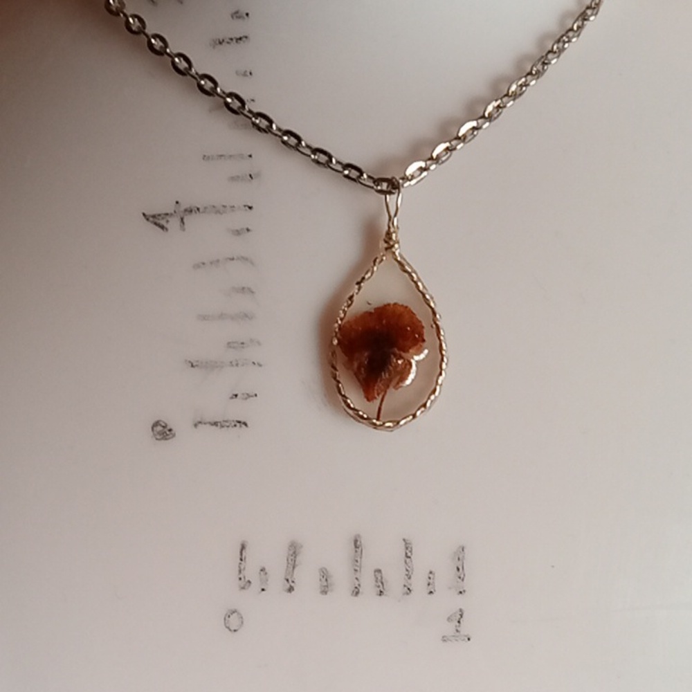 Mushroom necklace, amulet